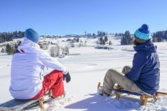 Sport and Leisure Activities in Sulzberg/Vorarlbergle enjoying a snowy and sunny winter day together