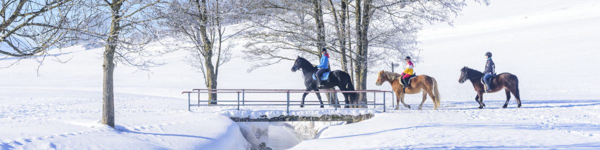 Reiten im Winter Reiten im Winter