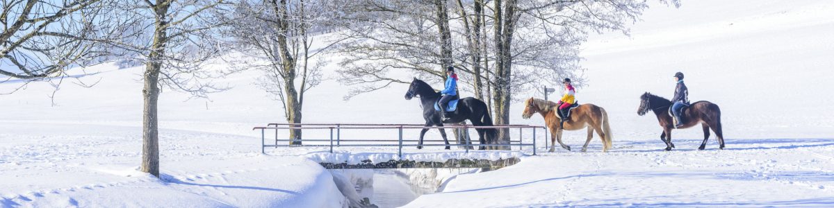 Reiten im Winter