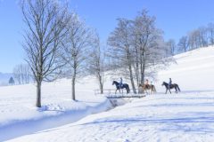 Reiten im Winter