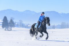 Reiten im Winter