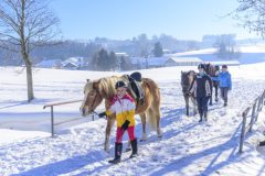 Reiten im Winter